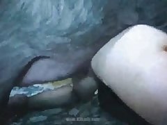 Porno Homme Animal