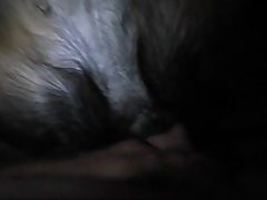 Videos Porno Com Animal Gratis Xxx