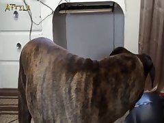 Madre E Hija Real Xxx Porn