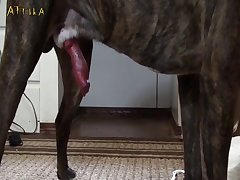 Madre E Hija Real Xxx Porn
