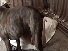 Madre E Hija Real Xxx Porn