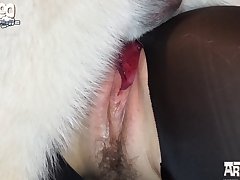 Porn N Xxx