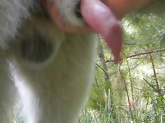 Booty Latina Xxx Porn