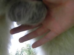 Booty Latina Xxx Porn