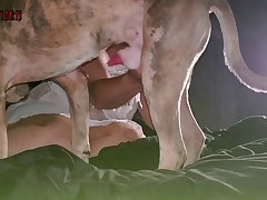 Hot Chinese Porn Xxx