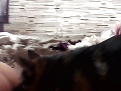All Lesbian Porn Xxx
