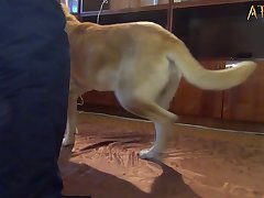 Xxx Brother And Sister Porn Video