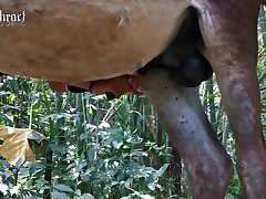 Porn Deep Xxx