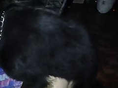 Free 69 Porn Xxx