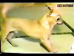 German Dog Fuck Girl