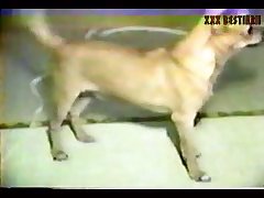 German Dog Fuck Girl