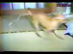 German Dog Fuck Girl