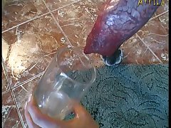 Dog Fuck Girl Scream
