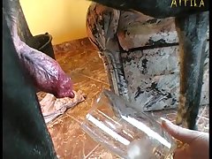 Dog Fuck Girl Scream