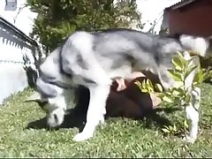 Dog Fuck Slave Porn