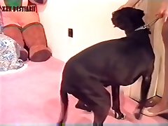 Pretending To Fuck Dog