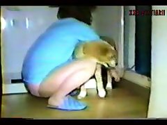 Male Dog Fuck Another Male Dog