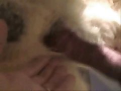 Dog Fuck Cam Girl