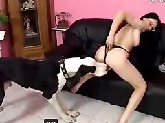 Hotest Porn Stars Xxx