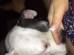 Mariam Instagram Xxx Porn
