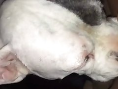 Mariam Instagram Xxx Porn