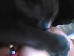 Director Of Batman Xxx A Porn Parody