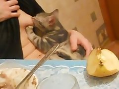 Xxx Porn Ful Hd