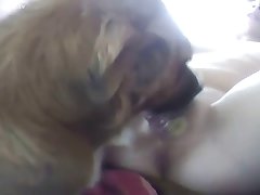 Cavalos Xxx Porn