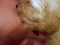 Hitgerl Tko Xxx Porn