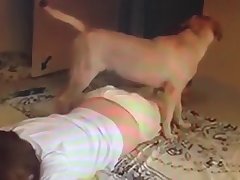 Xxx Upskirt Porn