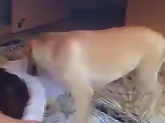 Xxx Upskirt Porn