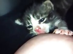 Adara Bears Xxx Porn