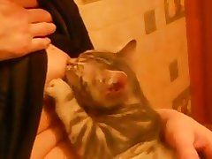 Bbw Mazzaratie Monica Lesbian Xxx Porn