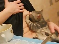 Bbw Mazzaratie Monica Lesbian Xxx Porn