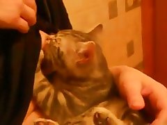 Bbw Mazzaratie Monica Lesbian Xxx Porn