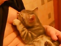 Bbw Mazzaratie Monica Lesbian Xxx Porn