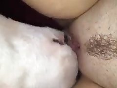 For Honor Porn Xxx Porn