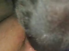 Monkey Xxx Porn