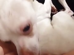 Hairy Milla Xxx Porn