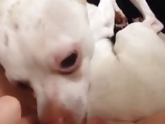 Hairy Milla Xxx Porn