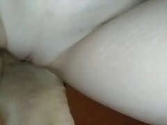 Animal Sex Whatsapp Groups