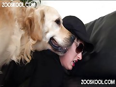 Art To Zoo Porn
