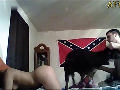 3d Animal Sex Game