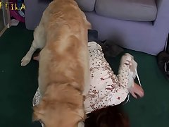 Animal Sex Big Dog