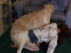 Animal Sex Big Dog