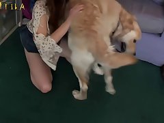 Animal Sex Big Dog