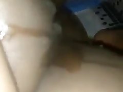 Free Xxx Animal Sex Videos