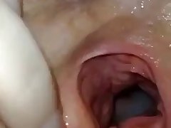 Xxx Zoo Porn Video