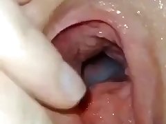 Xxx Zoo Porn Video