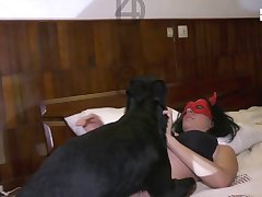 Man And Animal Sex Videos